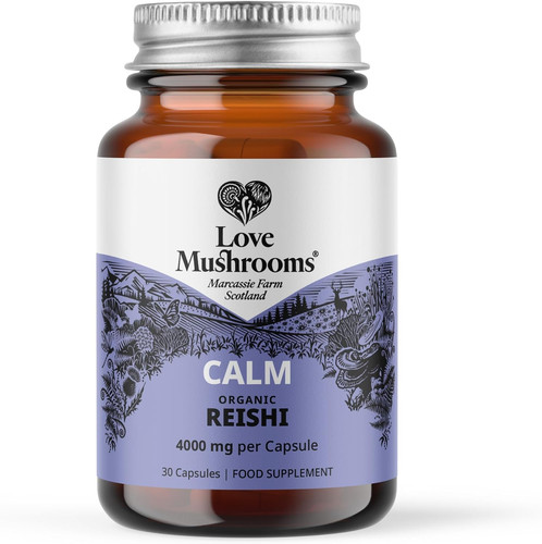Organic reishi mushroom - reishi,