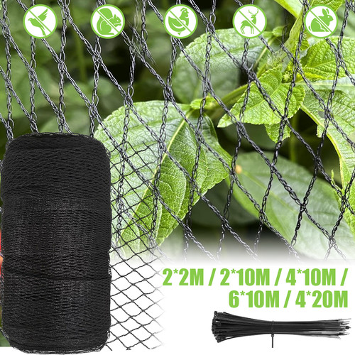 Anti bird netting 6m - anti,