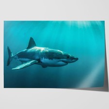 Great White Shark Jaws Canvas Framed Print Picture Wall Art