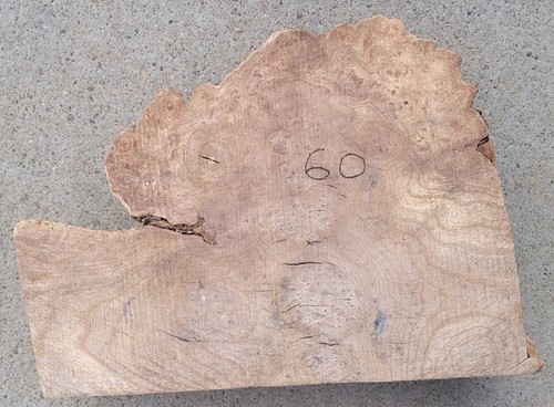 Timber scottish burr elm - timber,