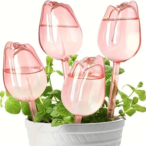 Tulip plant watering globes - tulip,