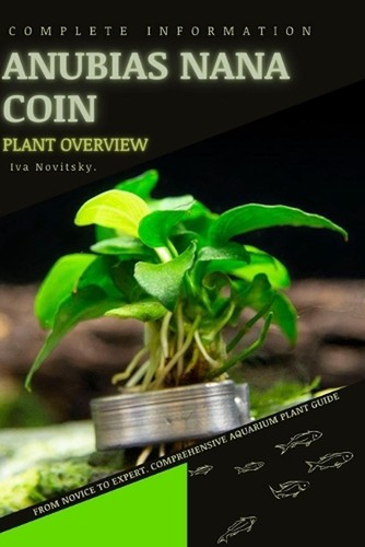 Anubias nana coin from novice - coin:,