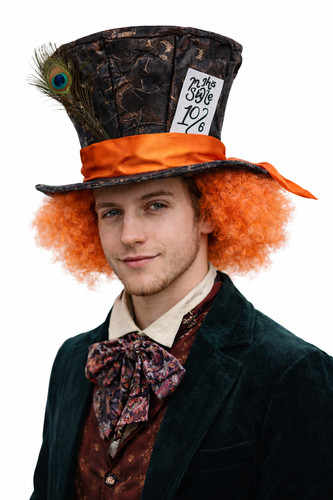 Adults mad hatter top hat - hatter,