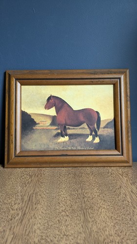 Vintage martin wiscombe framed - martin,