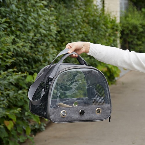 Foldable portable bird - bird, cage