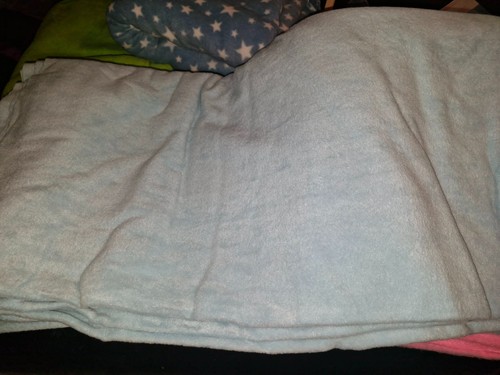 Polar fleece fabric - polar,