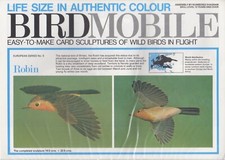 Card Model Kit of British Wild