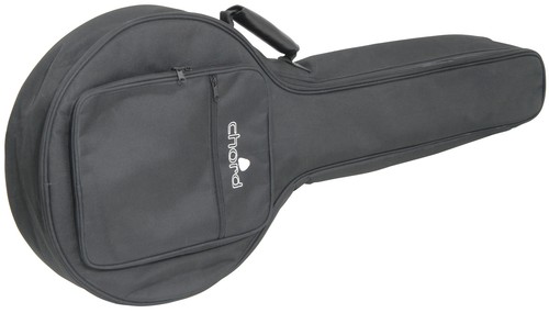 Padded gig bag for - padded,