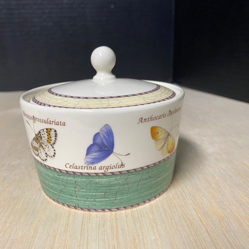 Wedgwood sugar bowl - wedgwood, lid