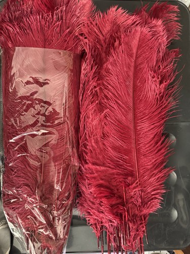 Maroon red natural ostrich - maroon,