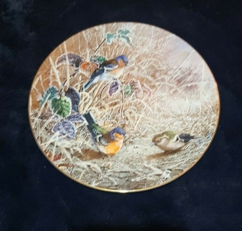 Coalport collector plate - coalport,