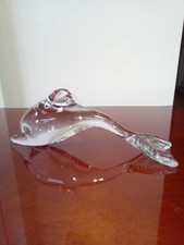  Dolphin clear glass