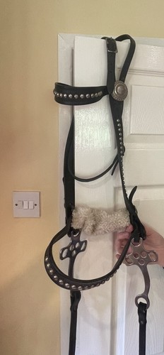 Working horse hackamore - working,