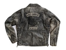 Harley Davidson Screaming