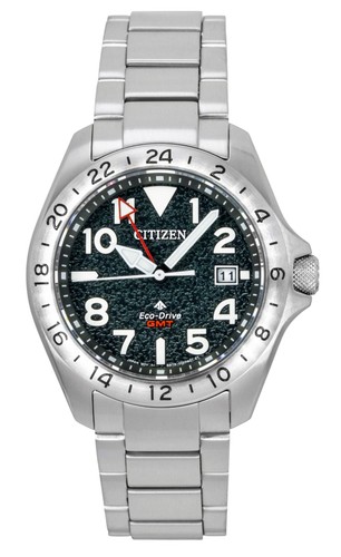 Citizen promaster black - promaster, dial