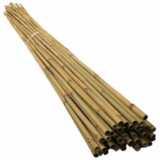 Bamboo Canes 4ft / 120cm