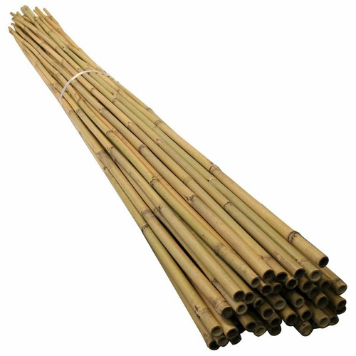 Bamboo canes 3ft 90cm - canes,