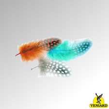 Veniard Guinea Fowl Plumage