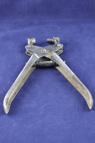 Vintage veterinary ear tagging - ear,