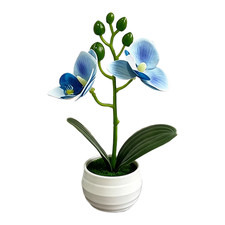 Lifelike Butterfly Orchid