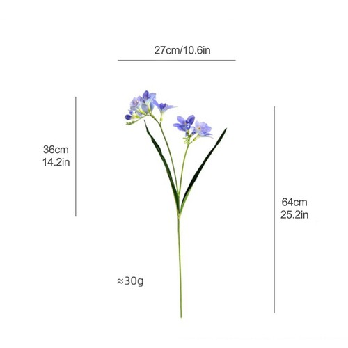 White cymbidium orchid wire - cymbidium,