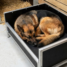 Heavy‑Duty Raised Dog Bed