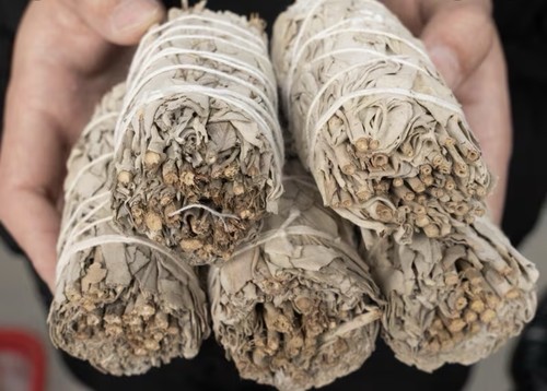One white sage - one, smudge