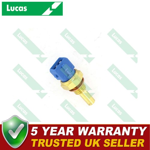 Lucas lower coolant - lower,