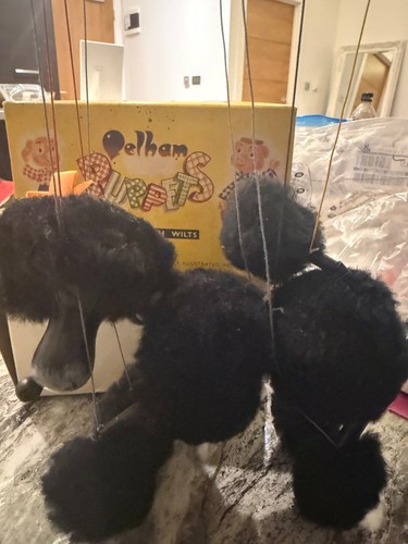 Black poodle dog 1960 - dog, 1960’s