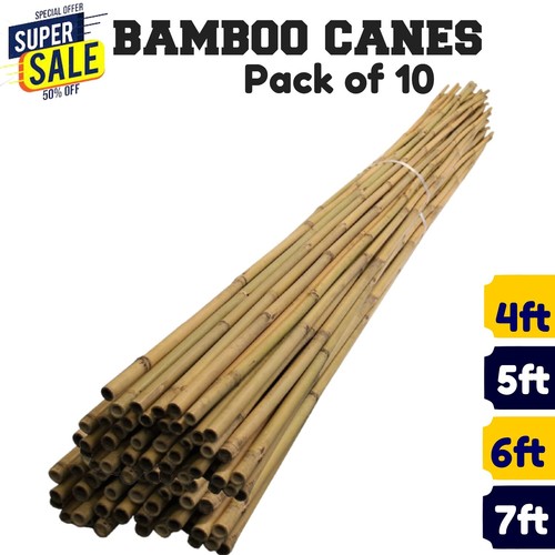 X10 bamboo garden canes heavy - x10,