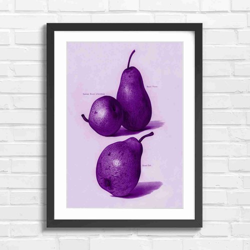 Vintage botanical pear - vintage, study