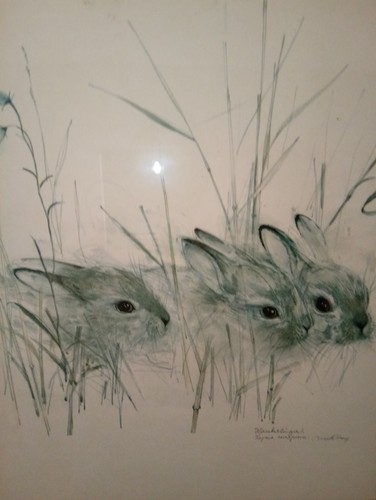 Stunning pair art - of, works