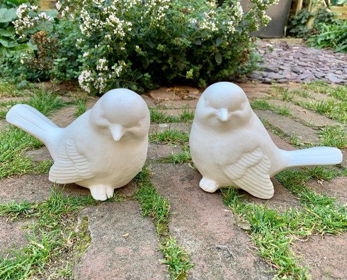 Pair love bird dove - dove, garden