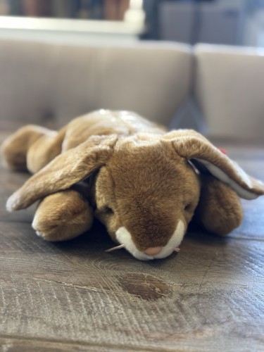 Beanie buddy ears the - ears, bunny
