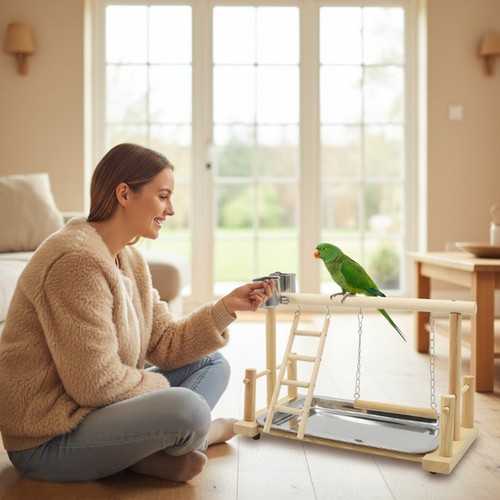Parrot playstand bird plays - playstand,