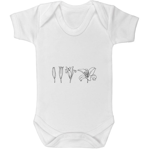Bloom lily baby grows - 'bloom,
