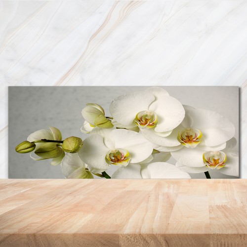 Kitchen glass splashback - glass,