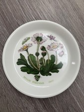 Portmeirion Botanic Garden BELLIS PERENNIS Daisy 4-1/2" Butter Pat Trinket Dish
