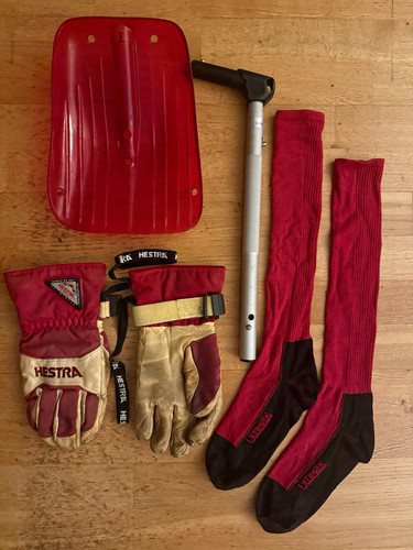 Hestra ski gloves leather - ski,