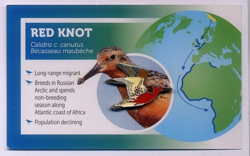 Non rspb bird - rspb, pin