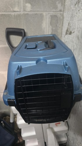 Portable plastic cat - portable,