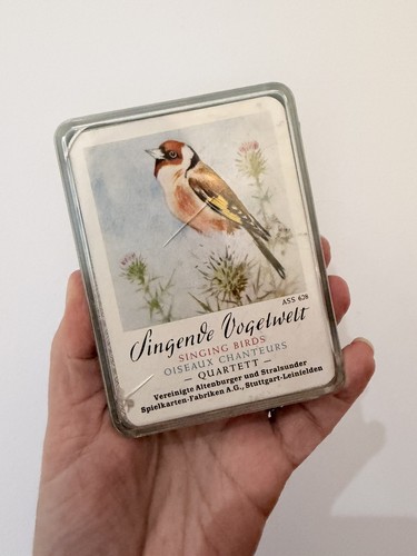 Vintage singende vogelwelt - vintage, vogelwelt"