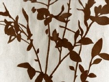 Wilman Interiors - Velvet