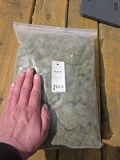 Static Grass 6mm - Clearance