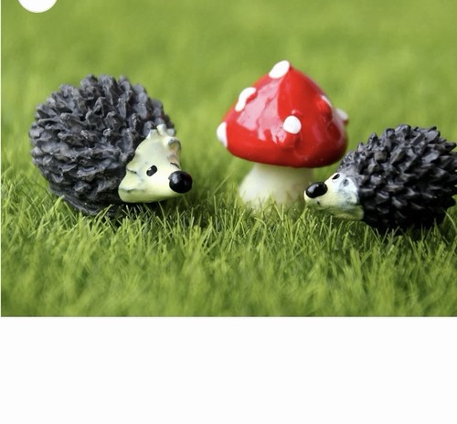 Miniature hedgehog and - miniature,