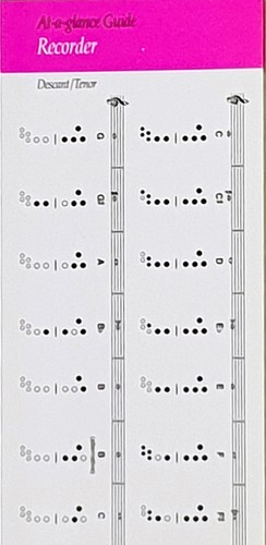 Glance guide recorder - at,