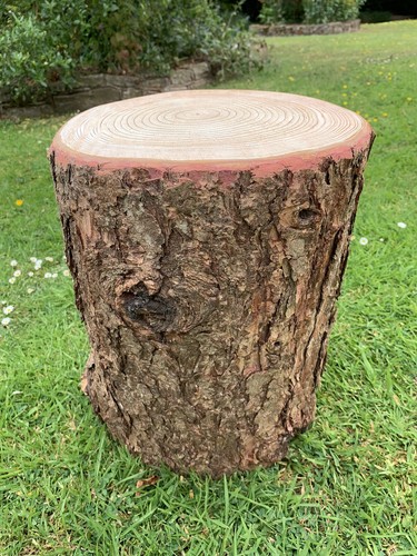 Rustic wooden log - stool, with