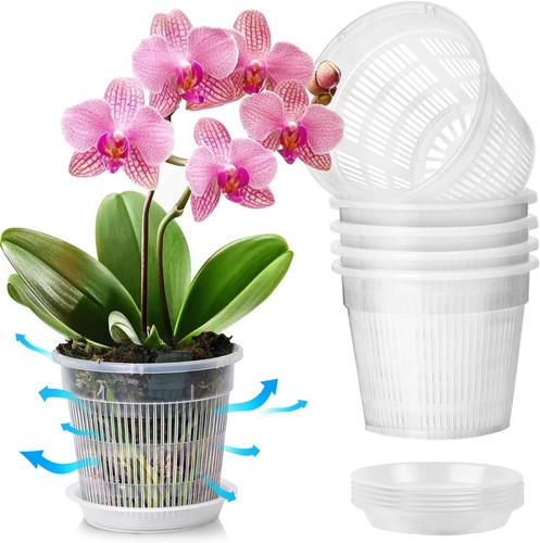 Pack 14cm orchid pots - 5, with