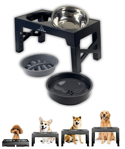 Raised dog bowls with - raised,