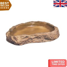 Hygienic Feeding Bowl for All